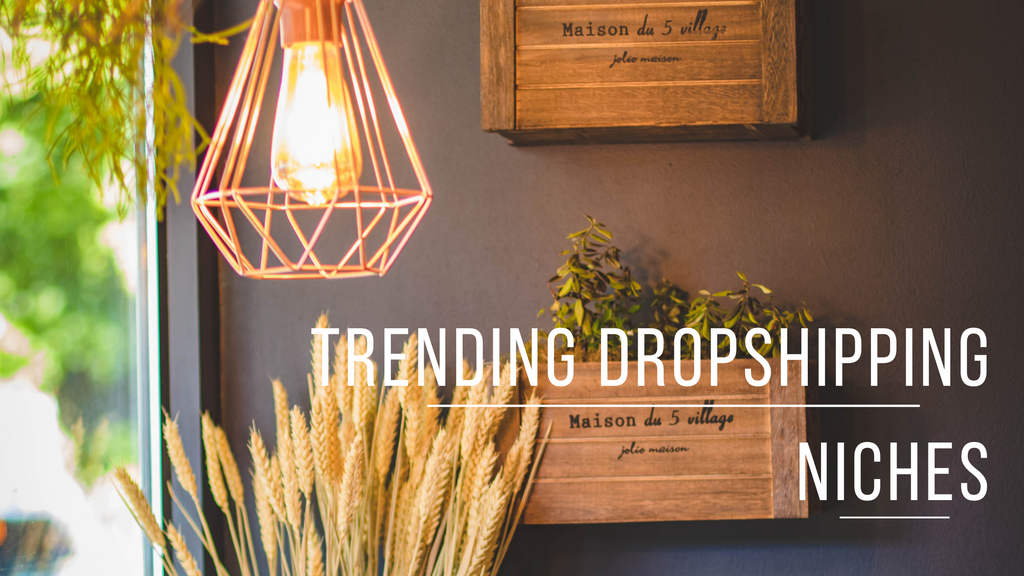 Trending Dropshipping Niches [& Their Search Results!] - November 2021
