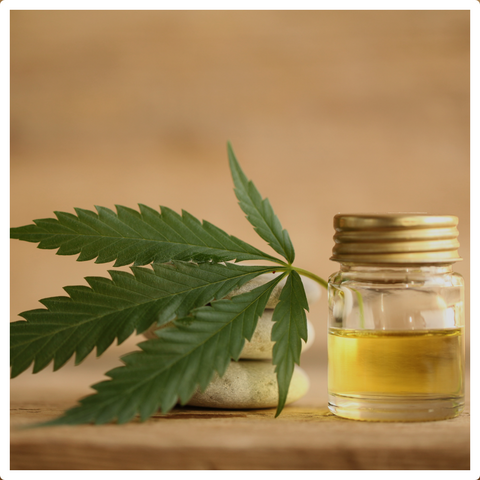 CBD | Shopify Dropship Store